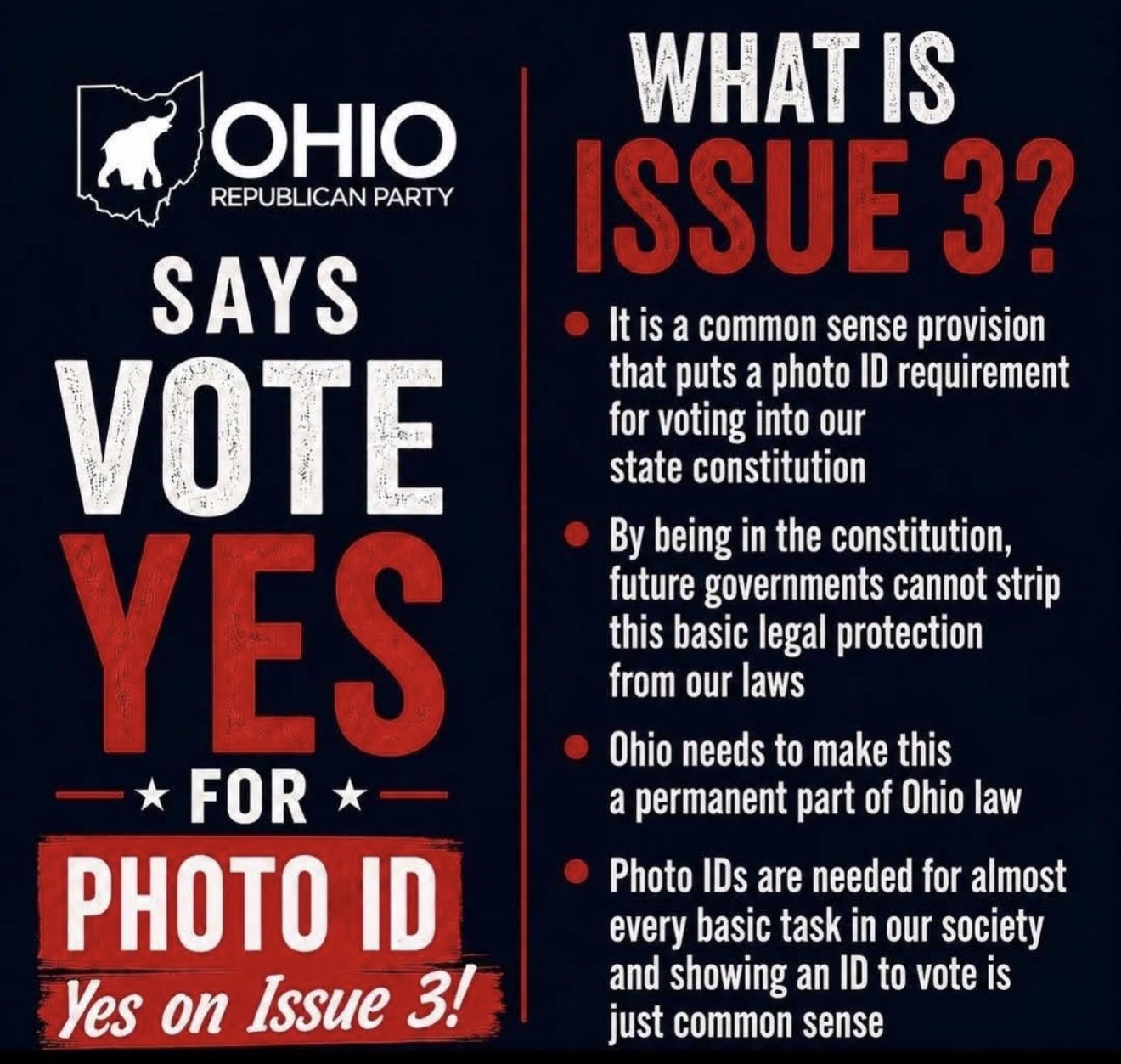 Ohio Republican Party Issue 3 photo ID voting information